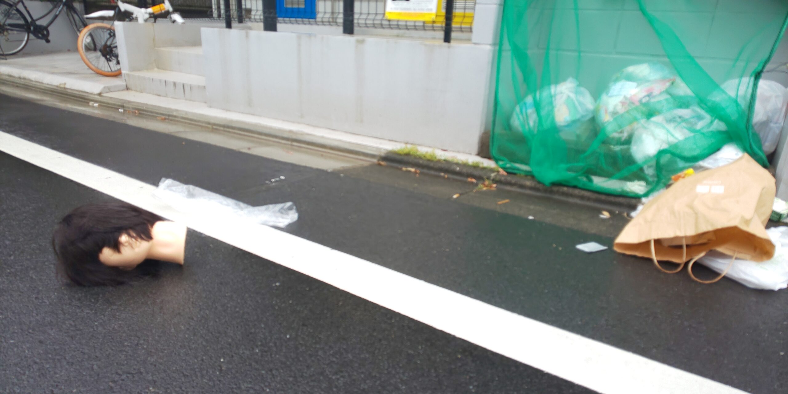 驚愕！　路上に横たわる女の生首を見つけた