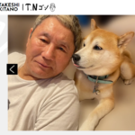 「右翼を使ってつけ回すぞ」　ビートたけしのバイク事故で脅迫された想い出