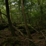 静かな死と派手な死　自殺の方法が悩みの内容によって違うという驚きの分析