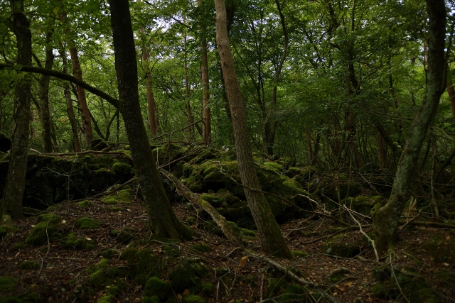 静かな死と派手な死　自殺の方法が悩みの内容によって違うという驚きの分析