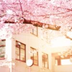 母親の成績で名門女子大に「裏口入学」した都市伝説のような本当の話